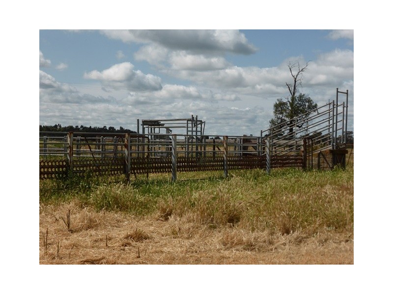 | Kweong |, Finley NSW 2713