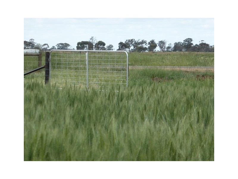 | Kweong |, Finley NSW 2713