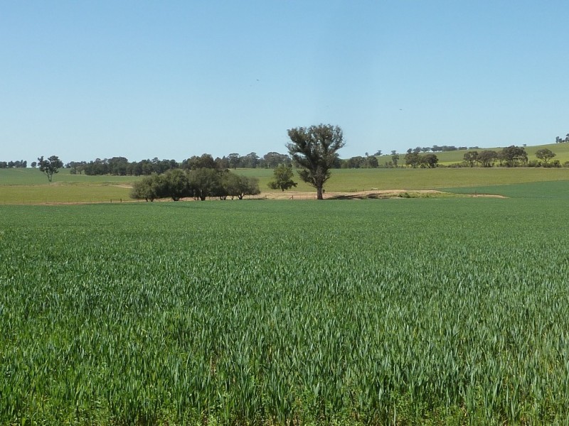 357 Flowerdale Road, Wagga Wagga NSW 2650