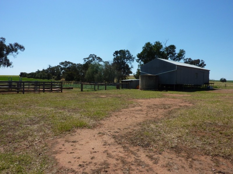 357 Flowerdale Road, Wagga Wagga NSW 2650