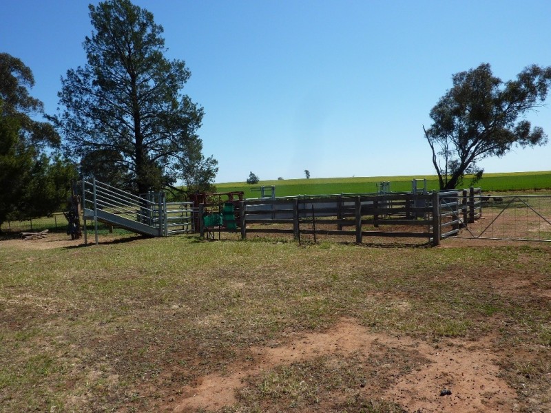 357 Flowerdale Road, Wagga Wagga NSW 2650