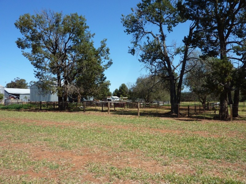 357 Flowerdale Road, Wagga Wagga NSW 2650