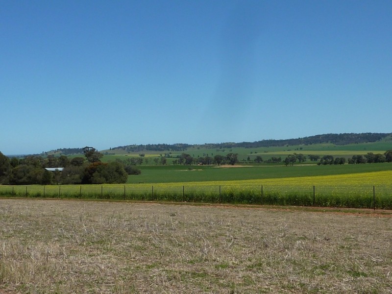 357 Flowerdale Road, Wagga Wagga NSW 2650