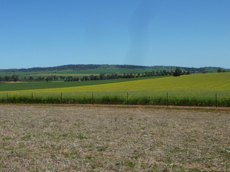 357 Flowerdale Road, Wagga Wagga NSW 2650