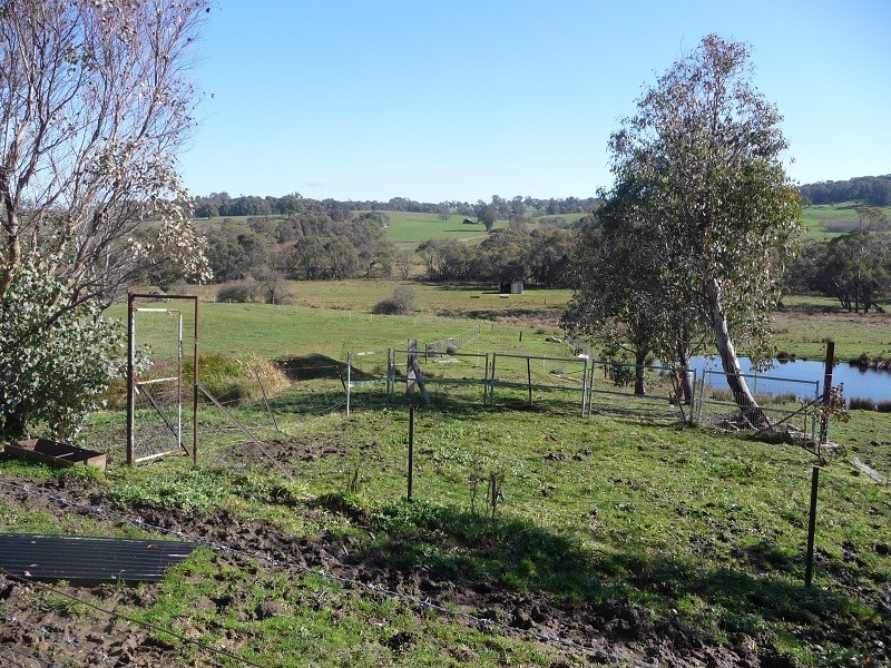 425 Batlow Road, Tumbarumba NSW 2653