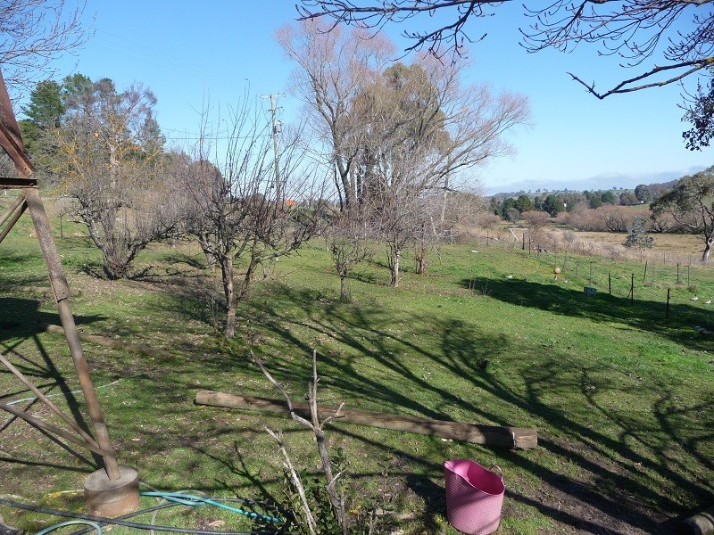 425 Batlow Road, Tumbarumba NSW 2653