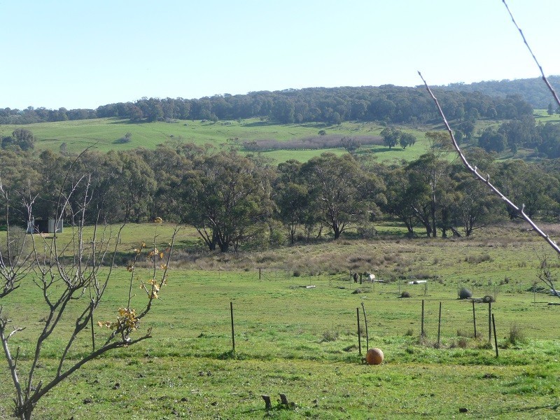 425 Batlow Road, Tumbarumba NSW 2653