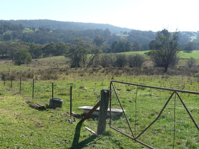 425 Batlow Road, Tumbarumba NSW 2653