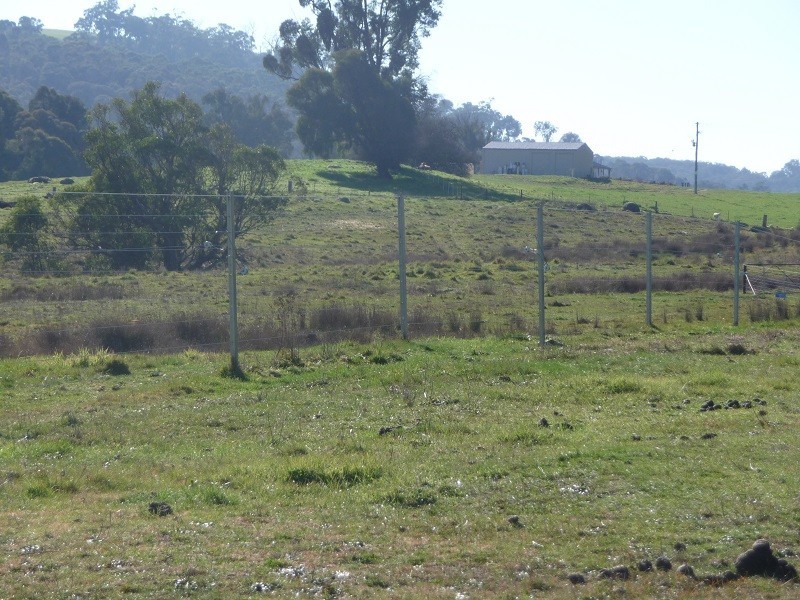 425 Batlow Road, Tumbarumba NSW 2653