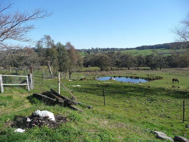 425 Batlow Road, Tumbarumba NSW 2653