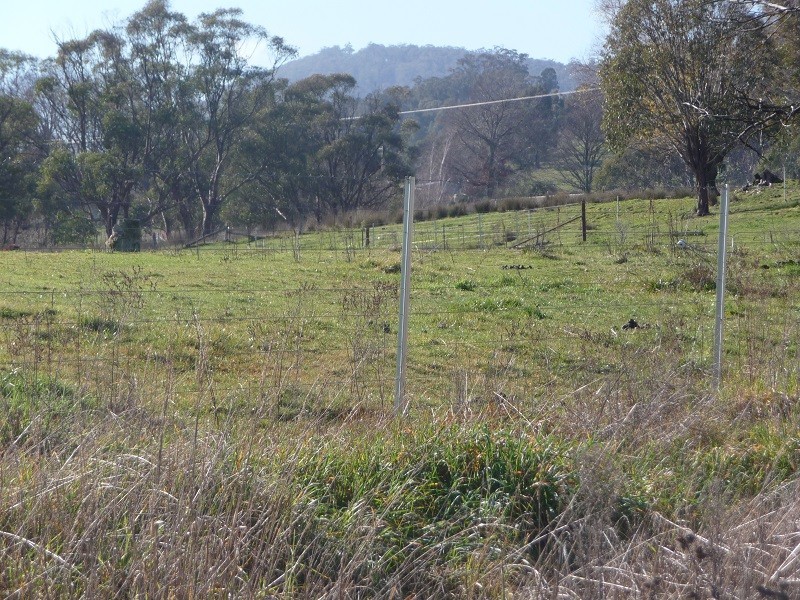 425 Batlow Road, Tumbarumba NSW 2653