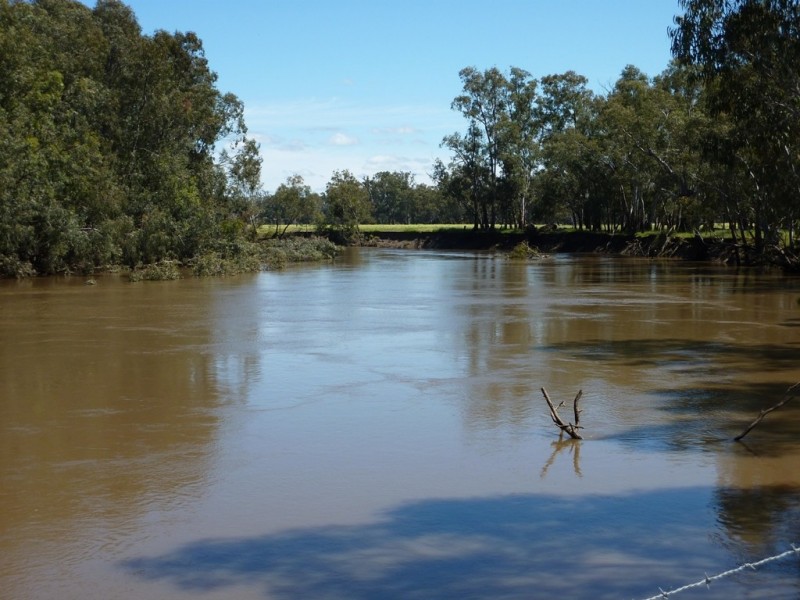 1871 Old Narrandera Road, Wagga Wagga NSW 2650