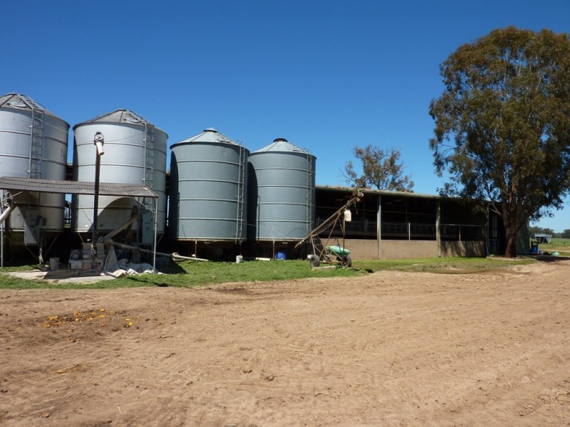 1871 Old Narrandera Road, Wagga Wagga NSW 2650