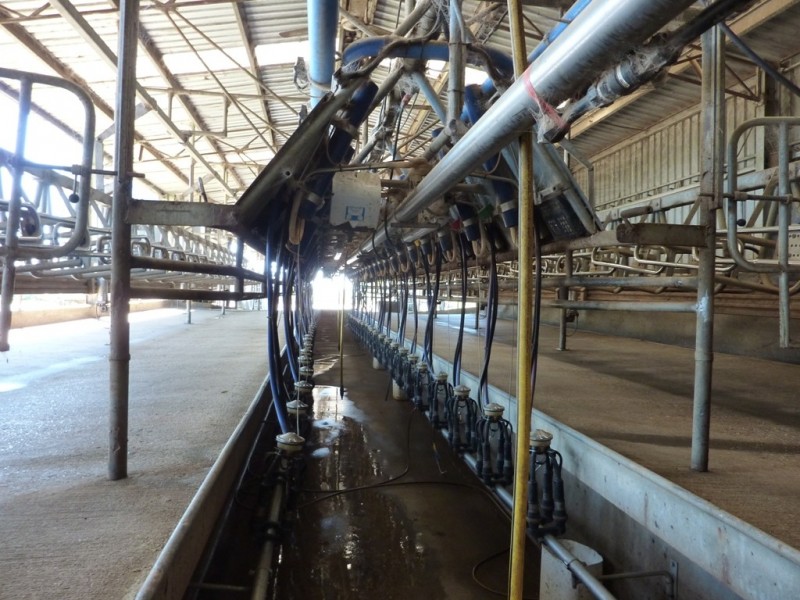 1871 Old Narrandera Road, Wagga Wagga NSW 2650