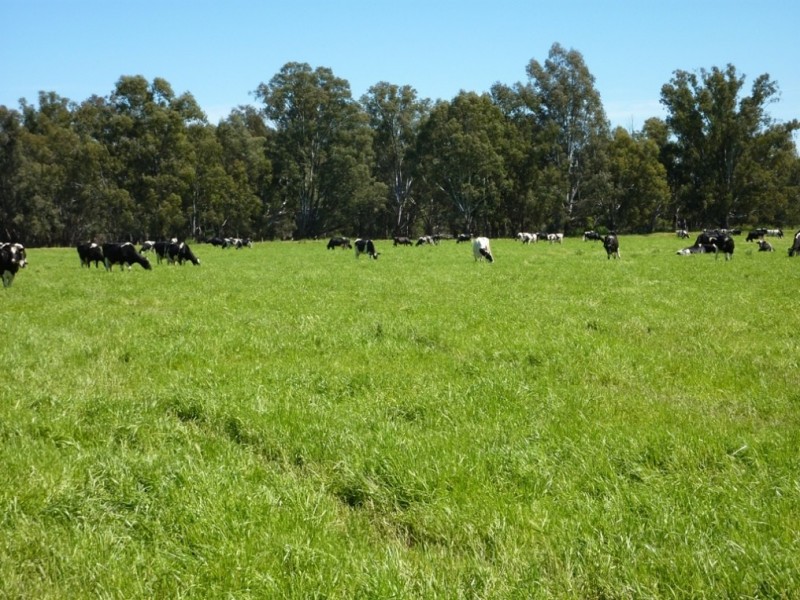 1871 Old Narrandera Road, Wagga Wagga NSW 2650