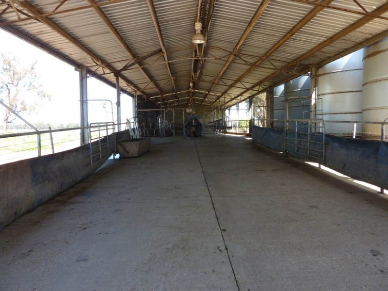 1871 Old Narrandera Road, Wagga Wagga NSW 2650