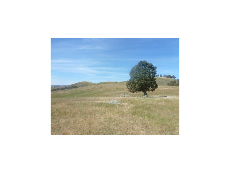 181 Eldridge Lane, Boorowa NSW 2586