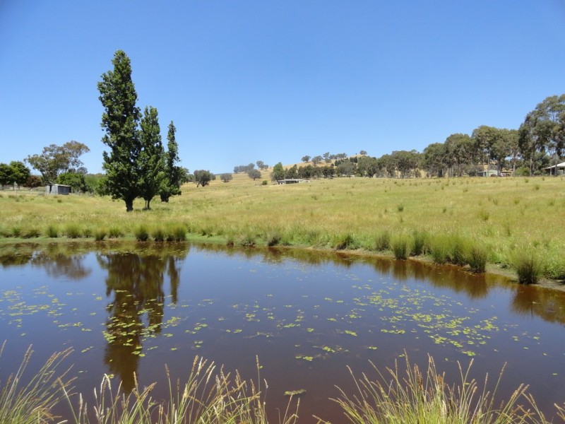 1326 Murray River Road, Talgarno VIC 3691