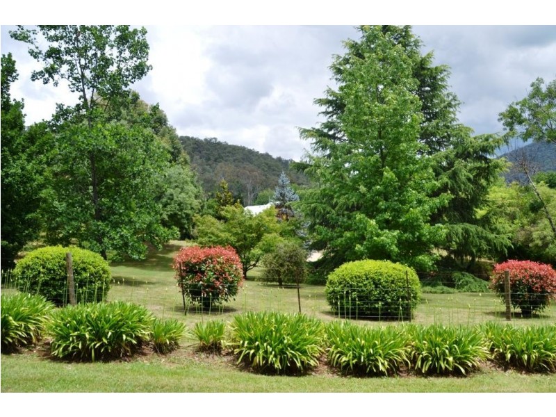 11 Iarias Lane, Bright VIC 3741