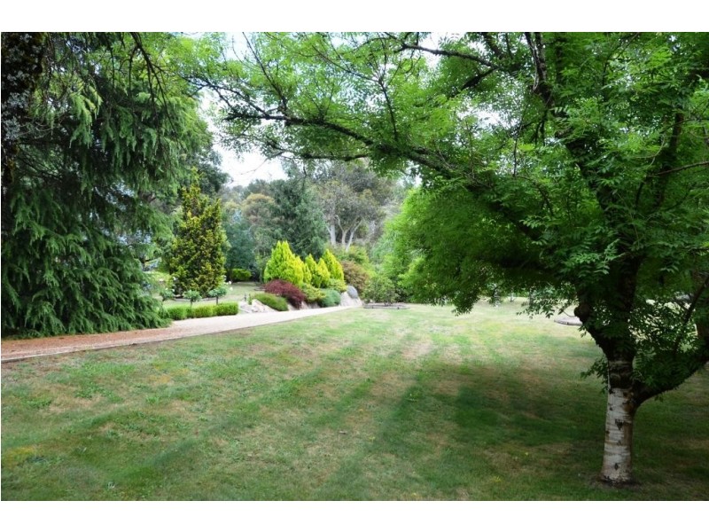 11 Iarias Lane, Bright VIC 3741