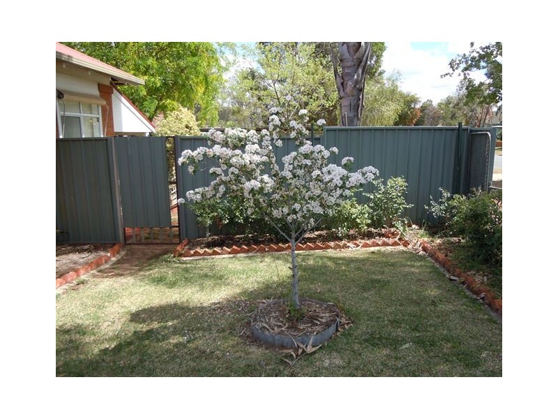 24 Roberts Street, Narrandera NSW 2700