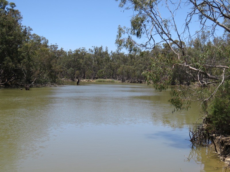 52 Stevens Weir Road, Deniliquin NSW 2710