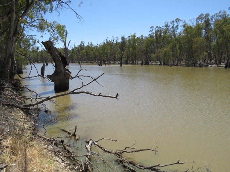 52 Stevens Weir Road, Deniliquin NSW 2710