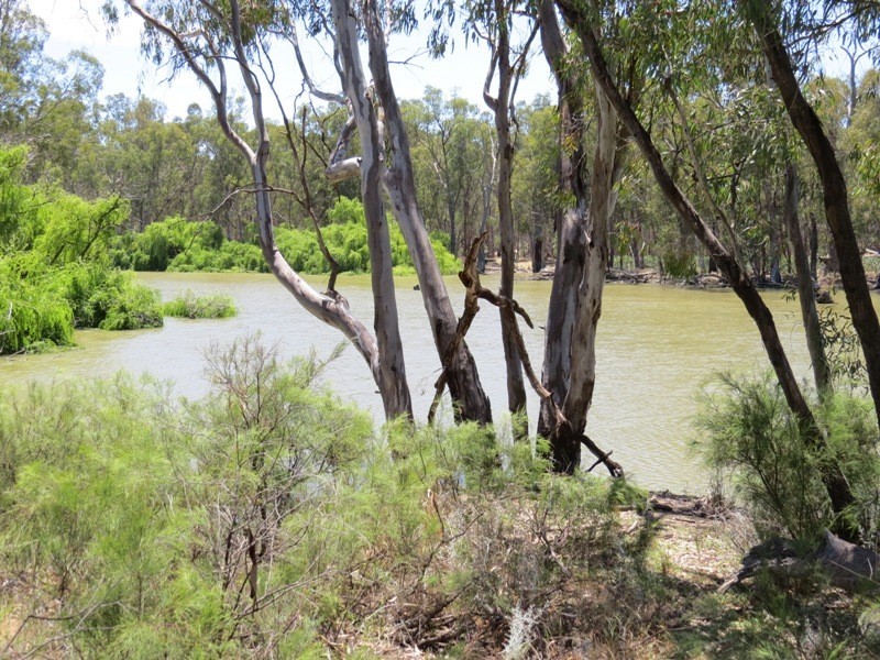 52 Stevens Weir Road, Deniliquin NSW 2710