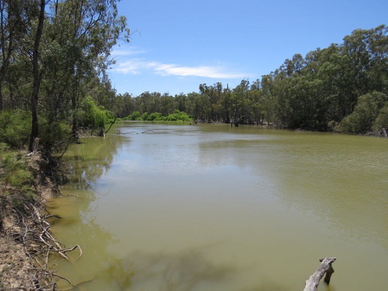 52 Stevens Weir Road, Deniliquin NSW 2710