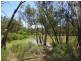52 Stevens Weir Road, Deniliquin NSW 2710