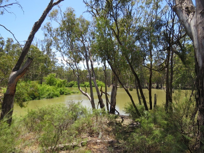 52 Stevens Weir Road, Deniliquin NSW 2710