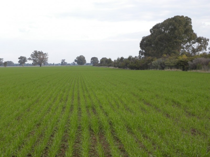 ‘Fairfield’ 9517 Riverina Highway, Corowa NSW 2646