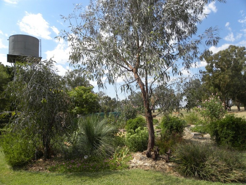 ‘Fairfield’ 9517 Riverina Highway, Corowa NSW 2646