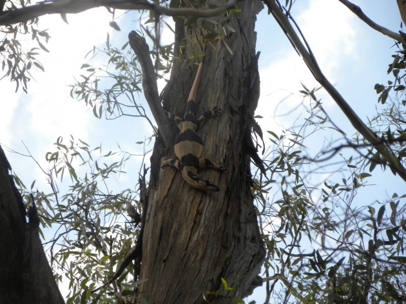 ‘Fairfield’ 9517 Riverina Highway, Corowa NSW 2646