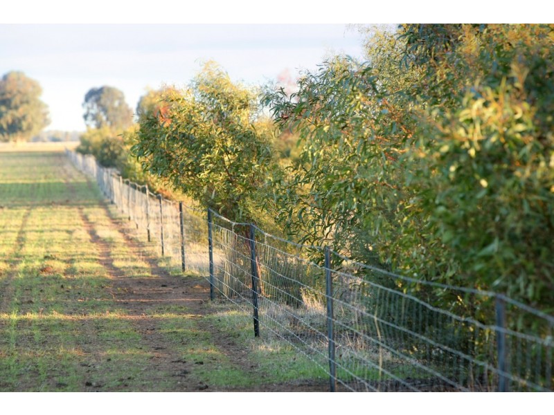 ‘Fairfield’ 9517 Riverina Highway, Corowa NSW 2646