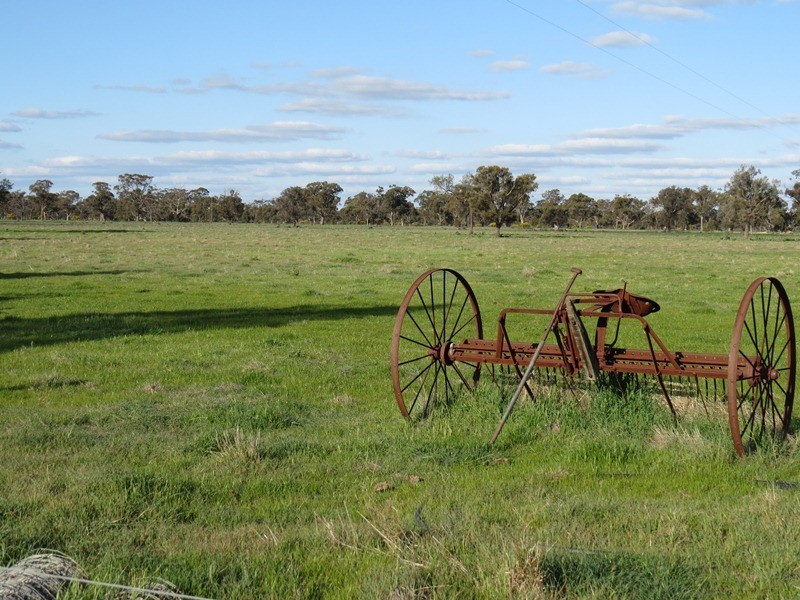 5227 Cobb Highway, Deniliquin NSW 2710