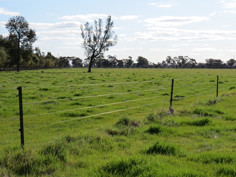 5227 Cobb Highway, Deniliquin NSW 2710