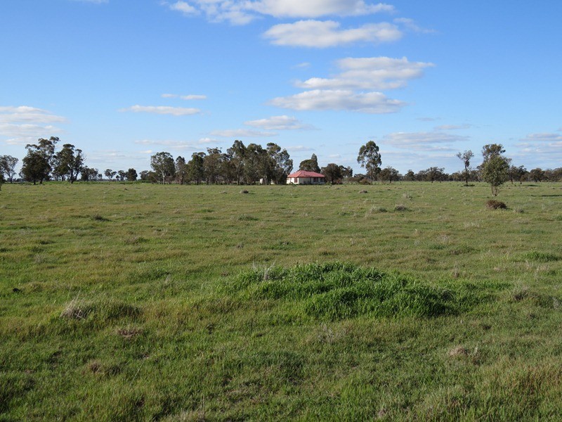 5227 Cobb Highway, Deniliquin NSW 2710
