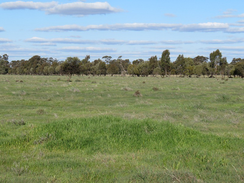 5227 Cobb Highway, Deniliquin NSW 2710