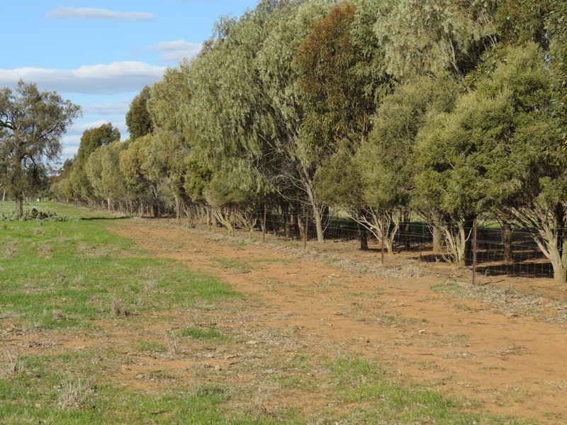 5227 Cobb Highway, Deniliquin NSW 2710