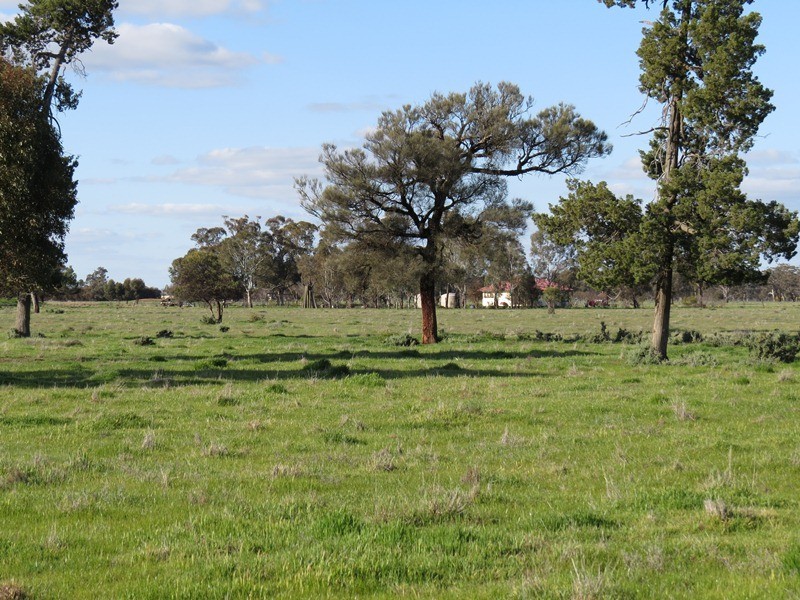 5227 Cobb Highway, Deniliquin NSW 2710