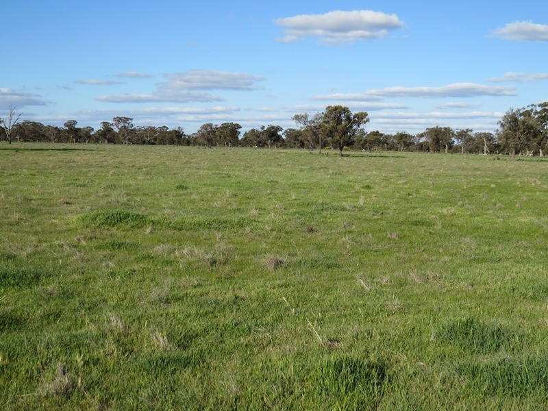 5227 Cobb Highway, Deniliquin NSW 2710