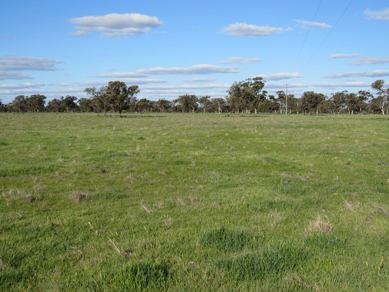 5227 Cobb Highway, Deniliquin NSW 2710