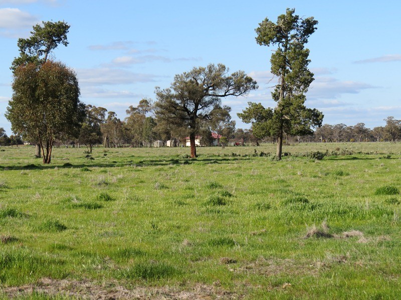 5227 Cobb Highway, Deniliquin NSW 2710