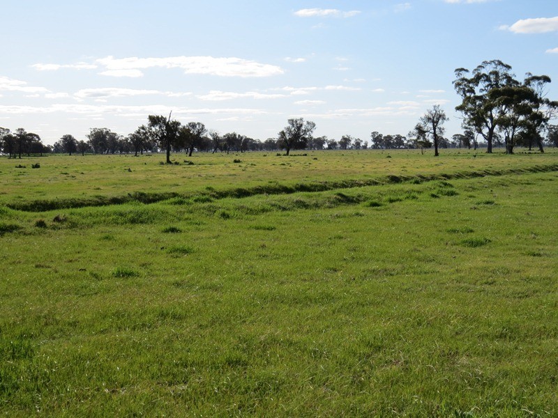 5227 Cobb Highway, Deniliquin NSW 2710