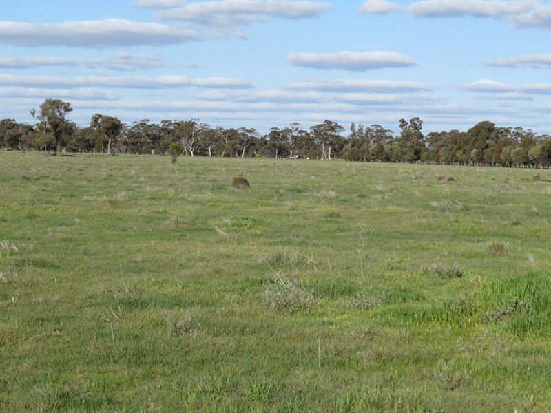 5227 Cobb Highway, Deniliquin NSW 2710