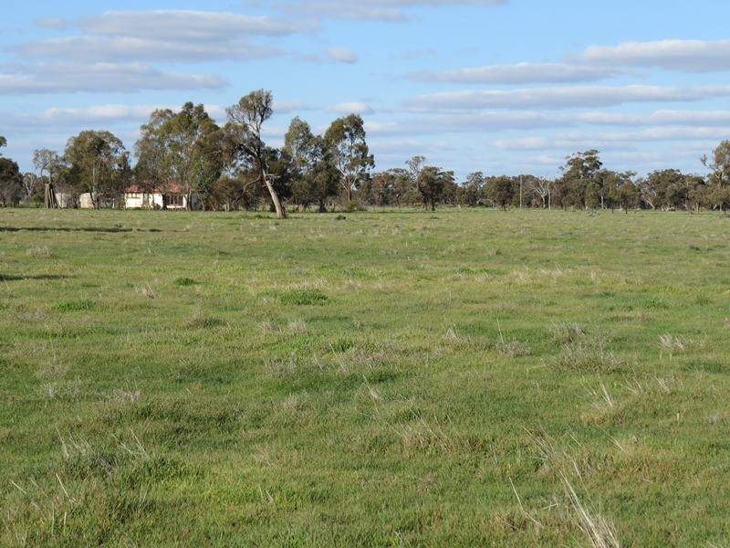 5227 Cobb Highway, Deniliquin NSW 2710