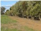 5227 Cobb Highway, Deniliquin NSW 2710