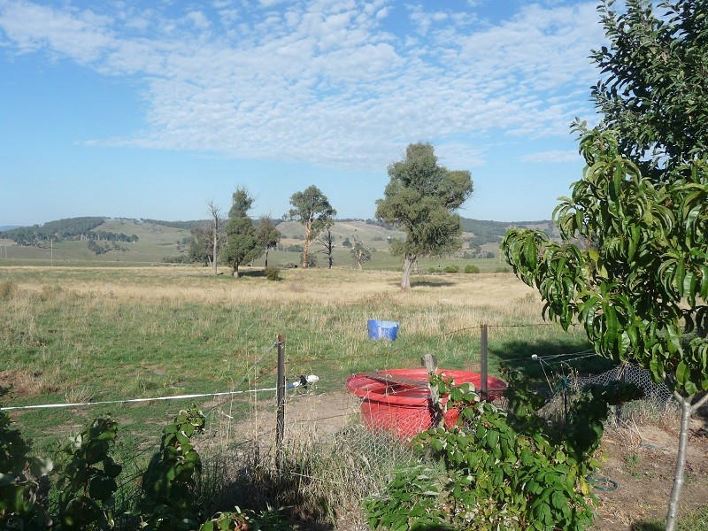 356 Tooma Road, Tumbarumba NSW 2653