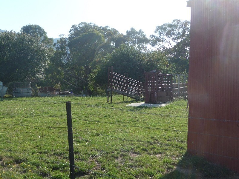 356 Tooma Road, Tumbarumba NSW 2653